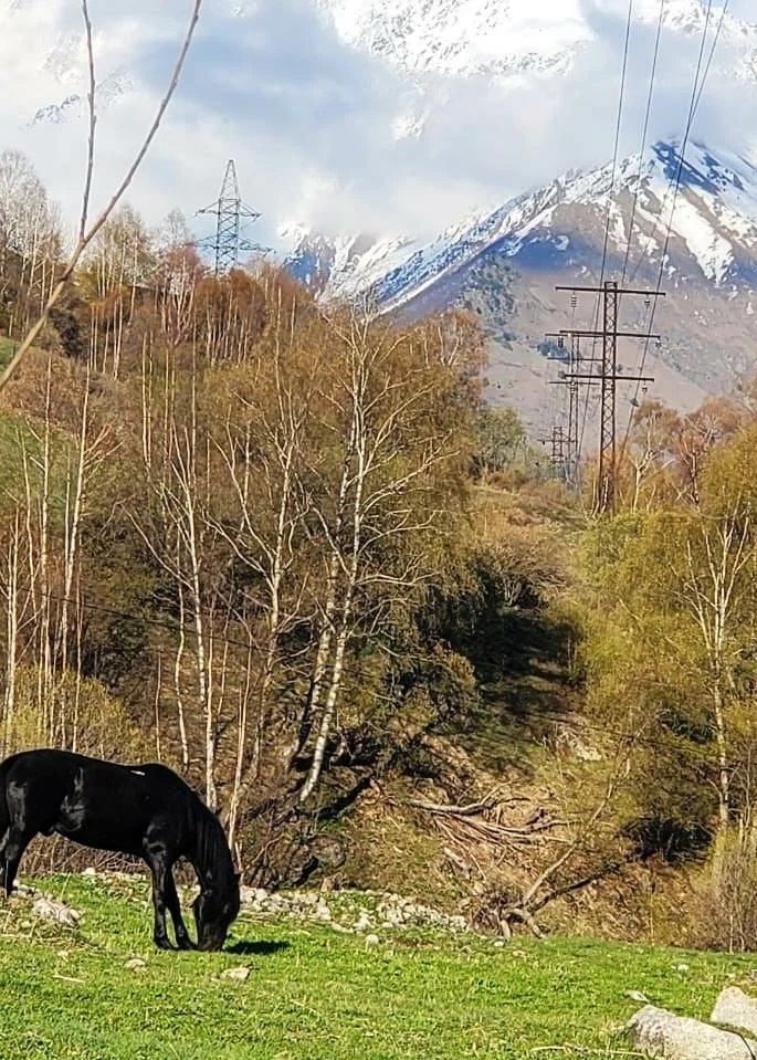 Прогулки верхом Азау